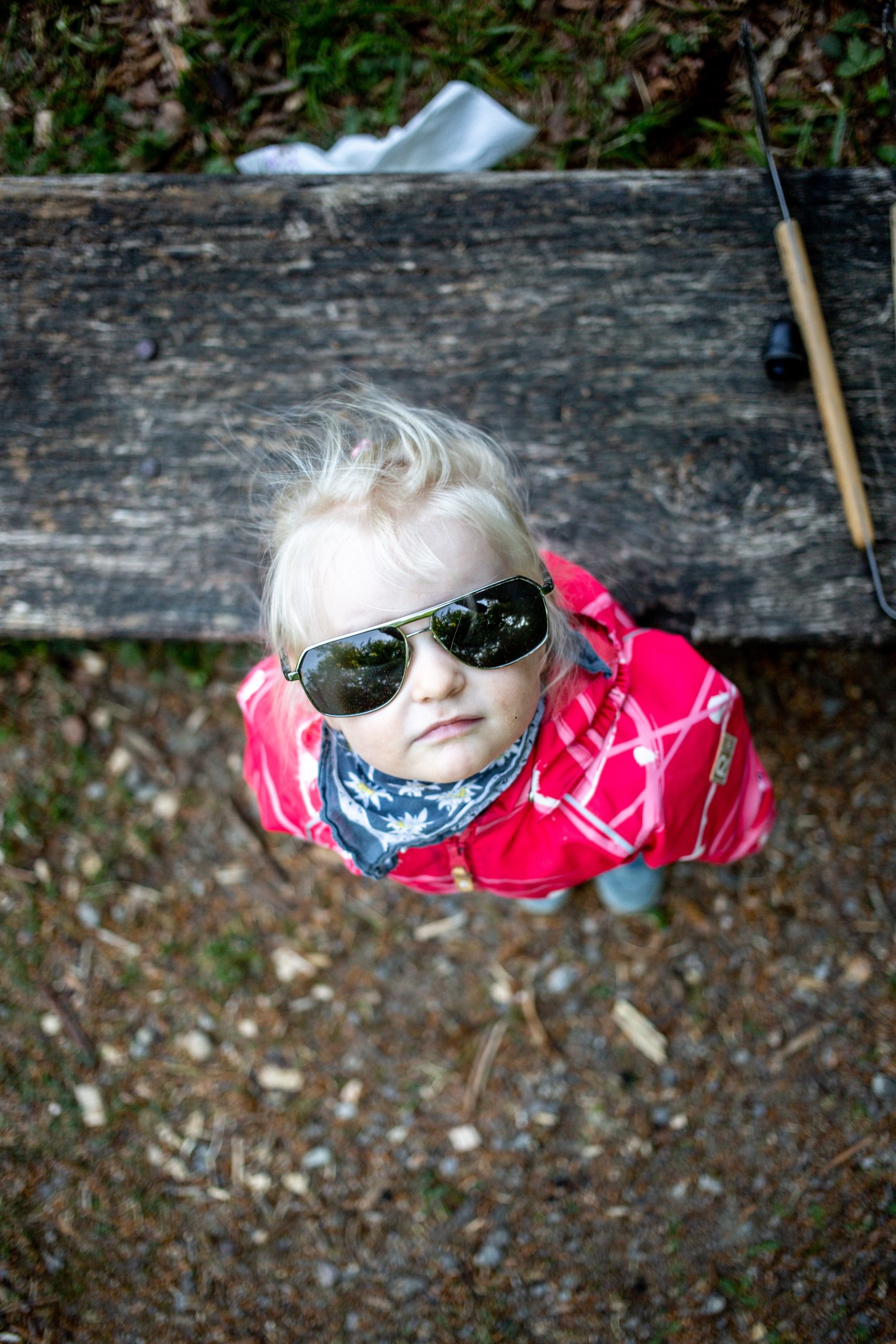timon-studler-fKKwphi1JUM-unsplash